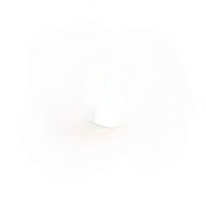 Doctor Bear 2 Rolls Large Toilet Paper Hotel Commercial Batoom Paper Home Use round Disk Toilet Paper Whole Box Bulk Pa